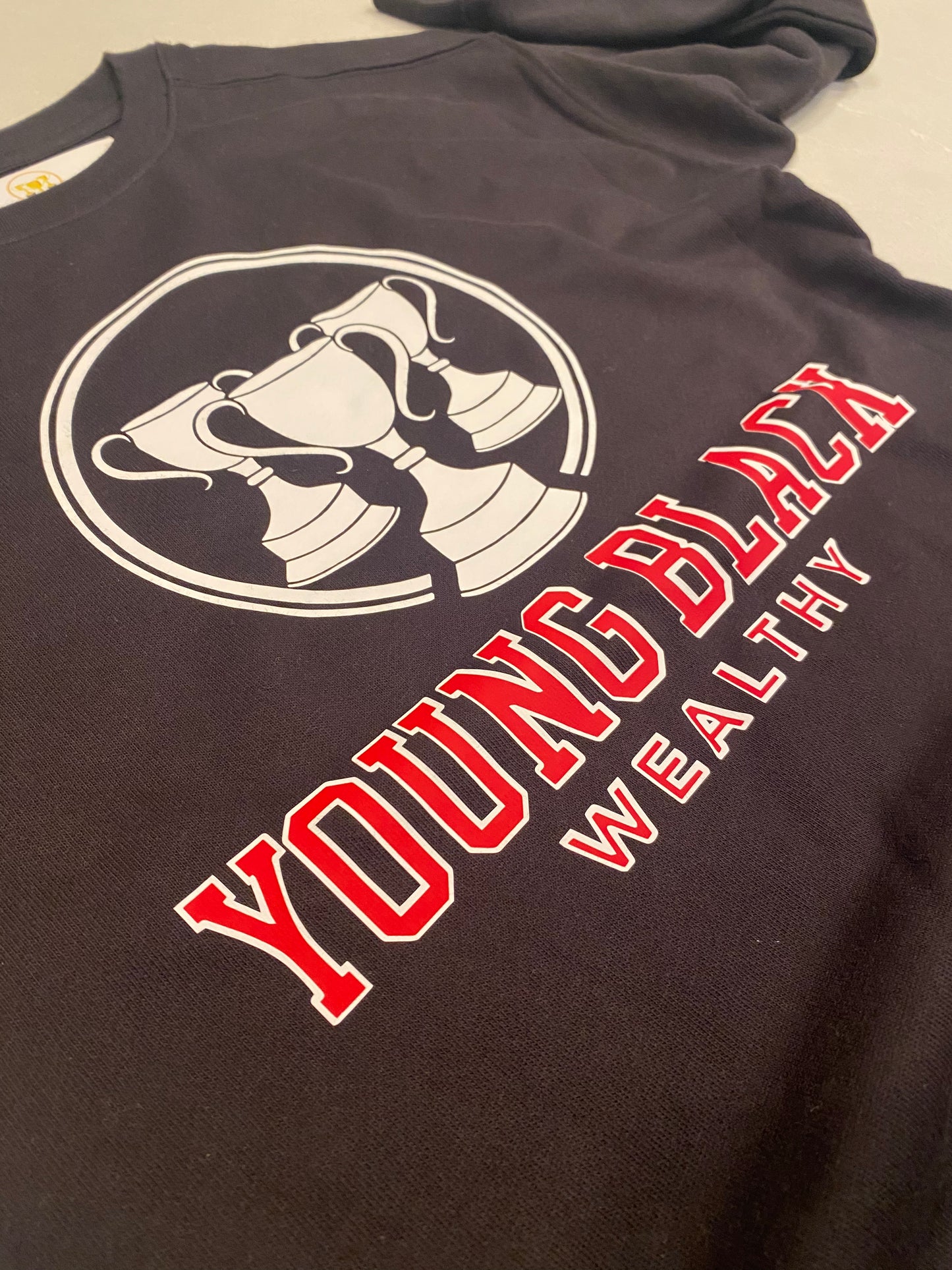 YBW Logo Crewneck Sweater- Youth Unisex